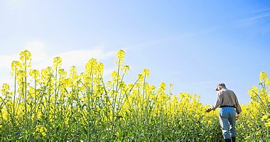 Brand Strategy cover